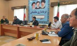 از پشم تا فرش